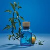 Adolfo Domínguez Neroli Eau de Toilette - 120ml Masculino Adolfo Domínguez Neroli Eau de Toilette - 120ml Masculino