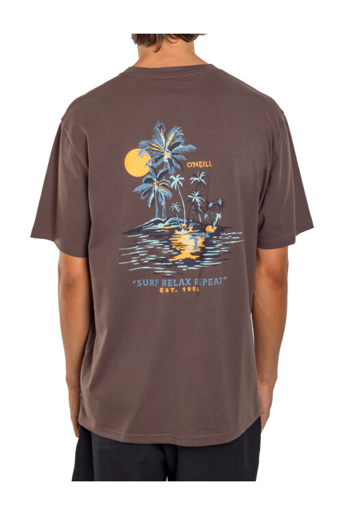 Remera O'Neill Oceanside Marrón