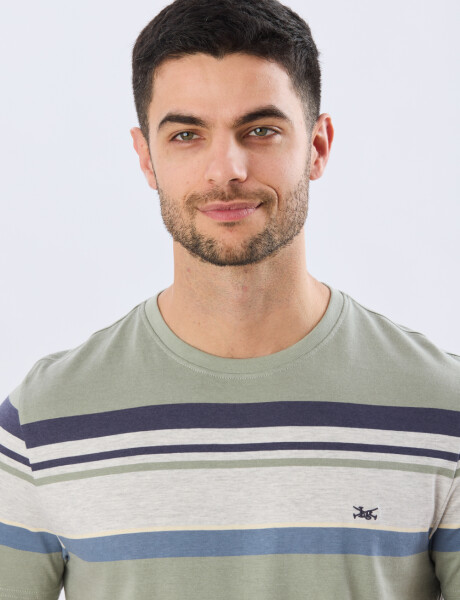 REMERA RAYADA DE ALGODÓN Pistacho