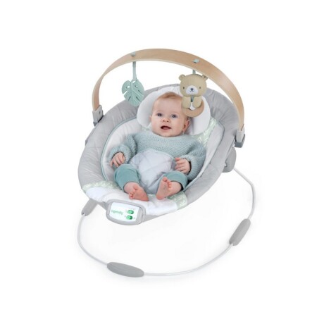 JUGUETE BOUNCER BEBESIT SOOTHING MELODIA CON VIBRACION JUGUETE BOUNCER BEBESIT SOOTHING MELODIA CON VIBRACION