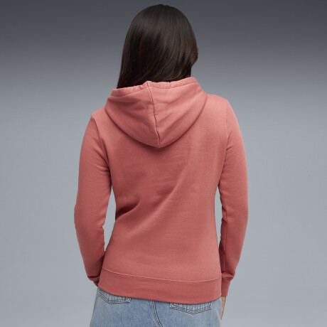 ESS Nº1 Logo Hoodie FL 68238960 Terracota
