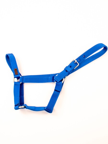 bozal de cinta Azul
