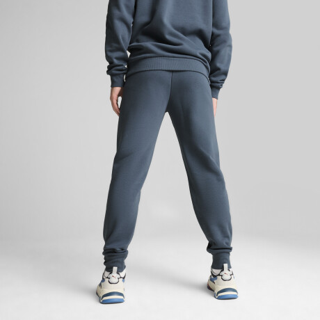 ESS Logo Pants FL cl 58671537 Gris