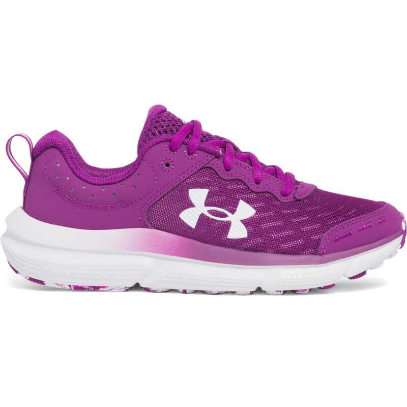 UA GGS Assert 10-PPL PPL-514