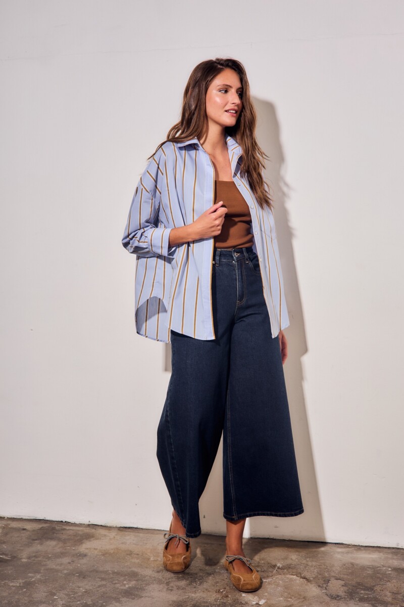 Camisa Rayada Azul