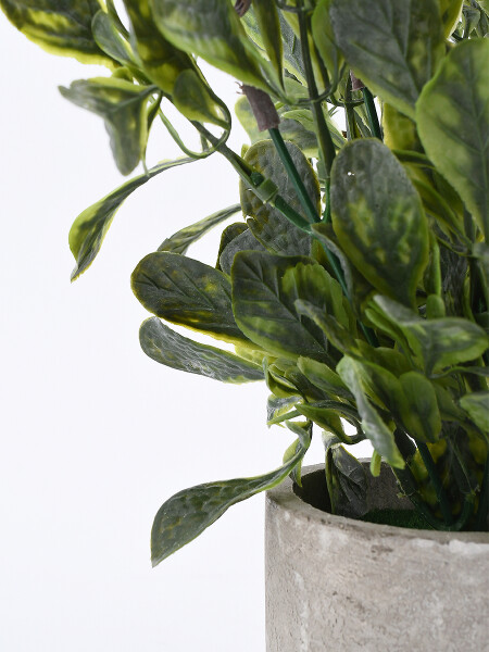 PLANTA CON MACETA BEIGE