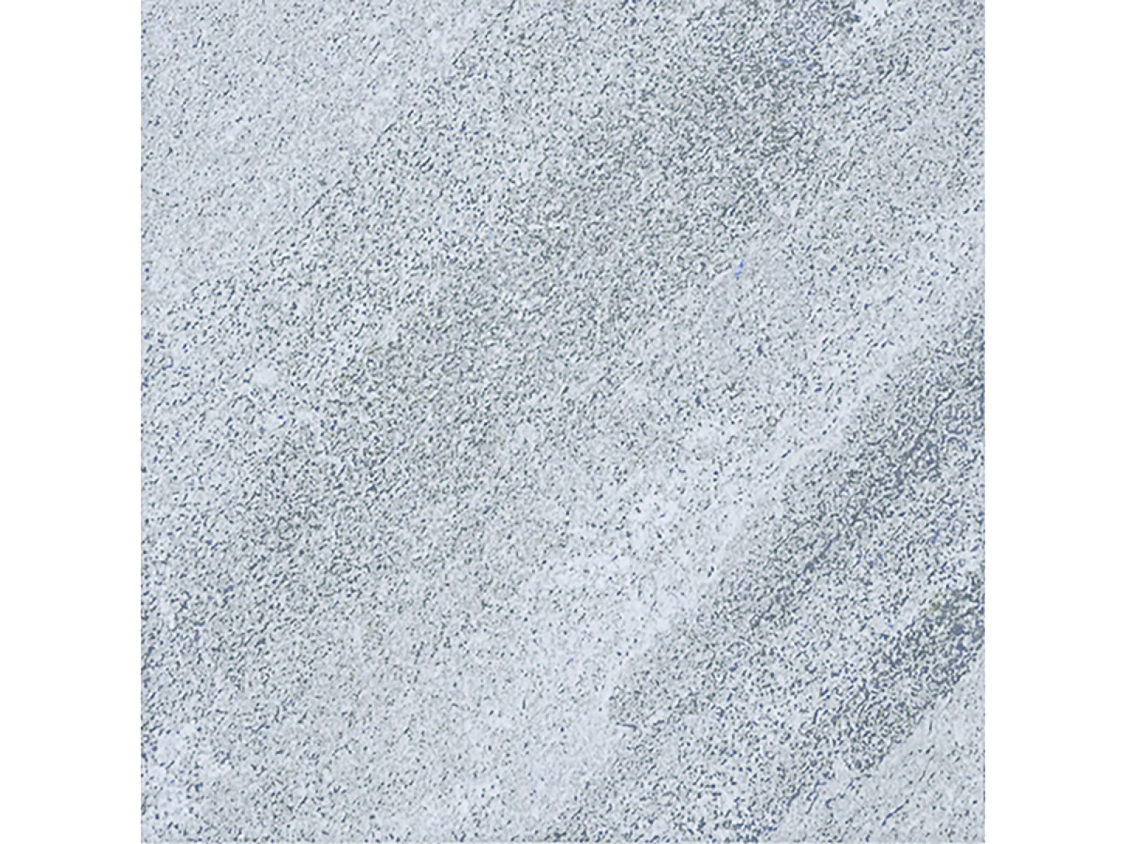 CERAMICA PARA PARED Y PISCINAS TONOS DE GRIS DE 20X20 SERIE CARIBBEAN CERAL - GAMAS DE GRIS 
