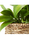 Planta artificial BERTRAM Ø8xA18cm surtidas Planta artificial BERTRAM Ø8xA18cm surtidas