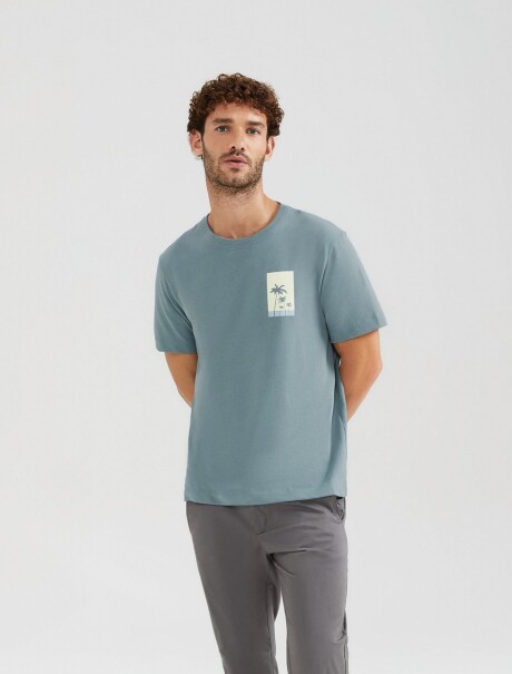 CAMISETA CON ESTAMPA MODELO COMFORT GRIS