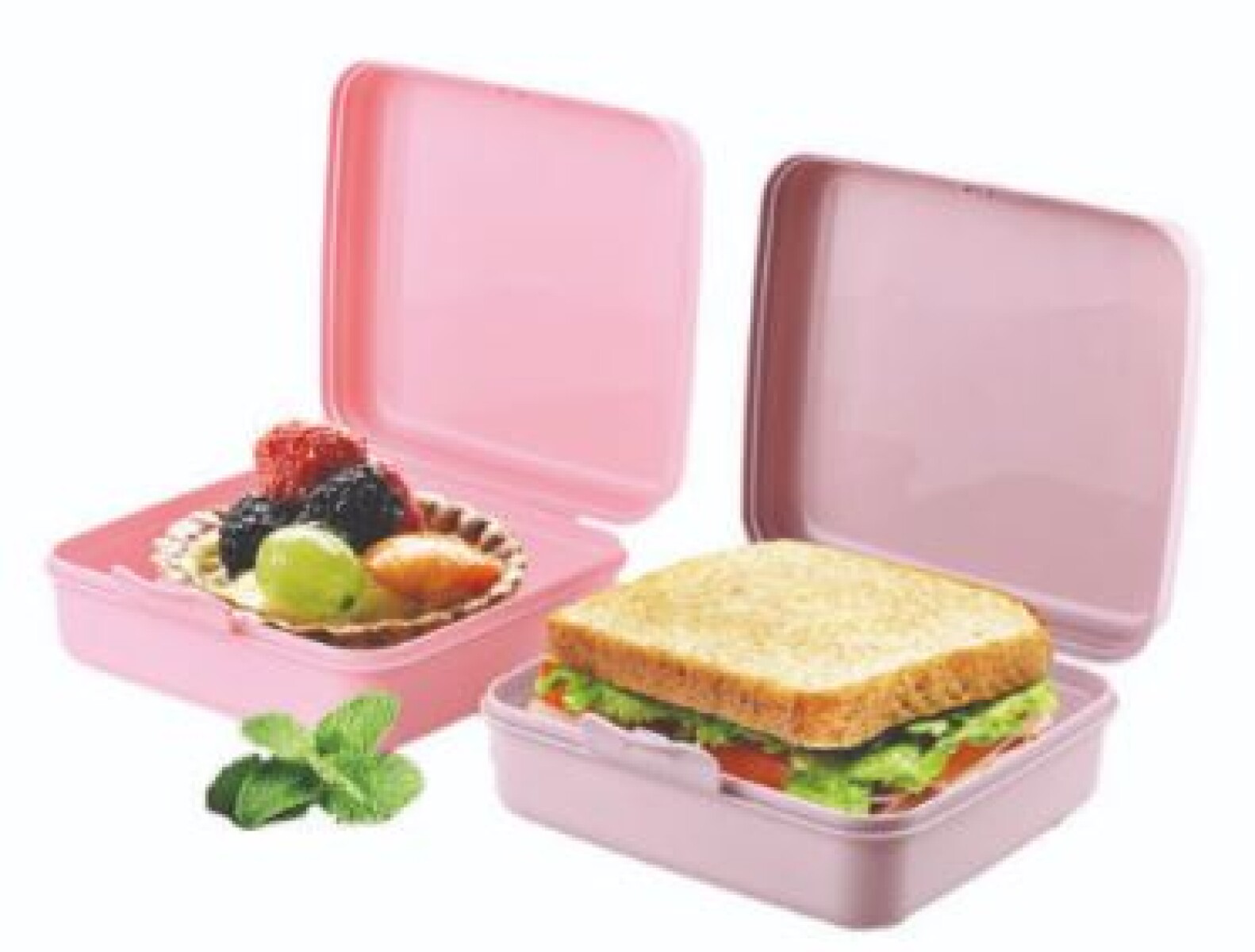 RECIPIENTE VIANDA BONITO SURTIDO 