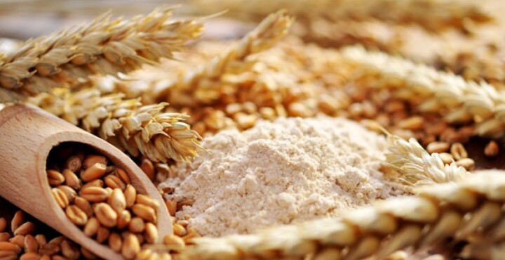 Contra el grano de trigo
