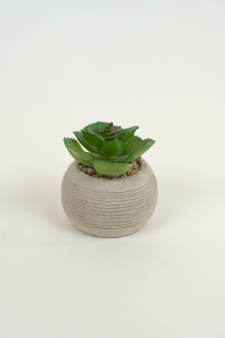 Planta Suculenta 693 Mini, Mix Color Unico
