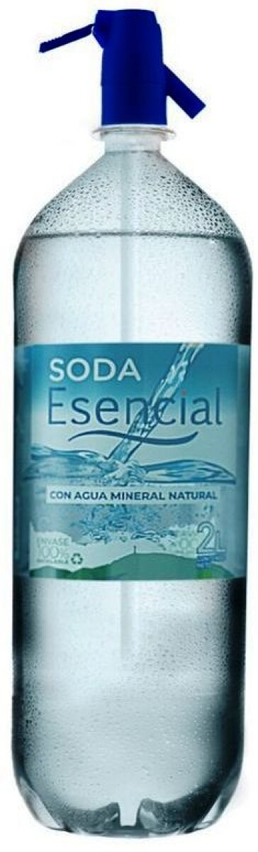 AGUA SODA SIFON ESENCIAL 2L 
