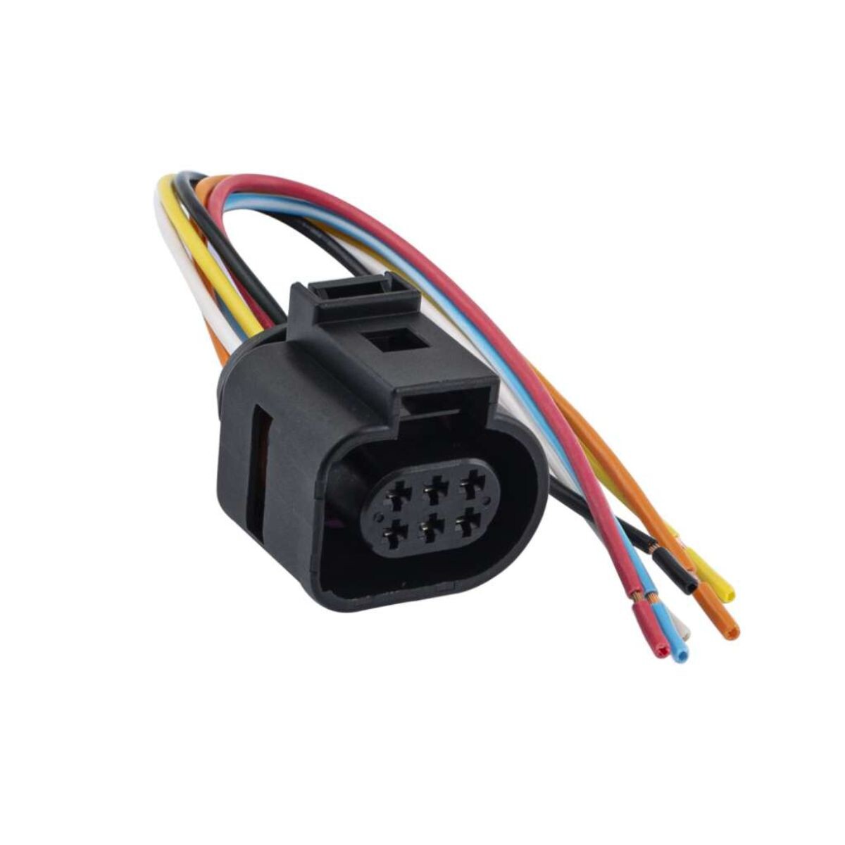 FICHA DE CUERPO MARIPOSA 