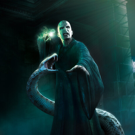 Voldemort con Nagini 10 Inches [Exclusivo] Harry Potter - 109 Voldemort con Nagini 10 Inches [Exclusivo] Harry Potter - 109