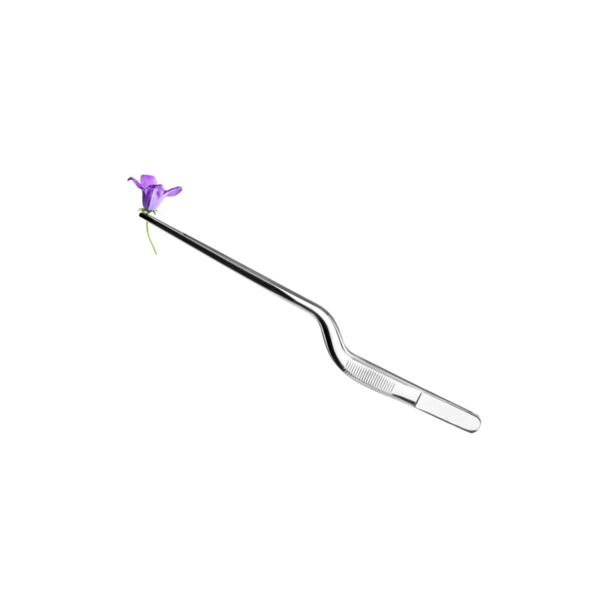 Pinza Curva de Precisión 16 cm 
