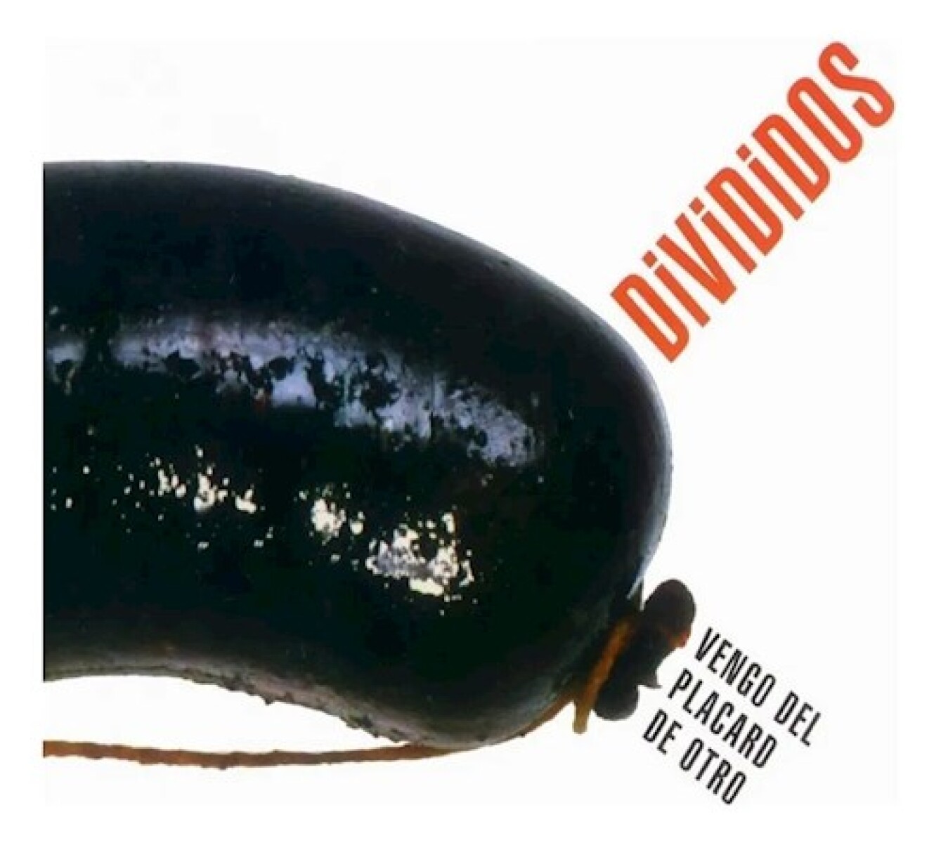 Divididos - Vengo Del Placard De Otro - Vinilo 