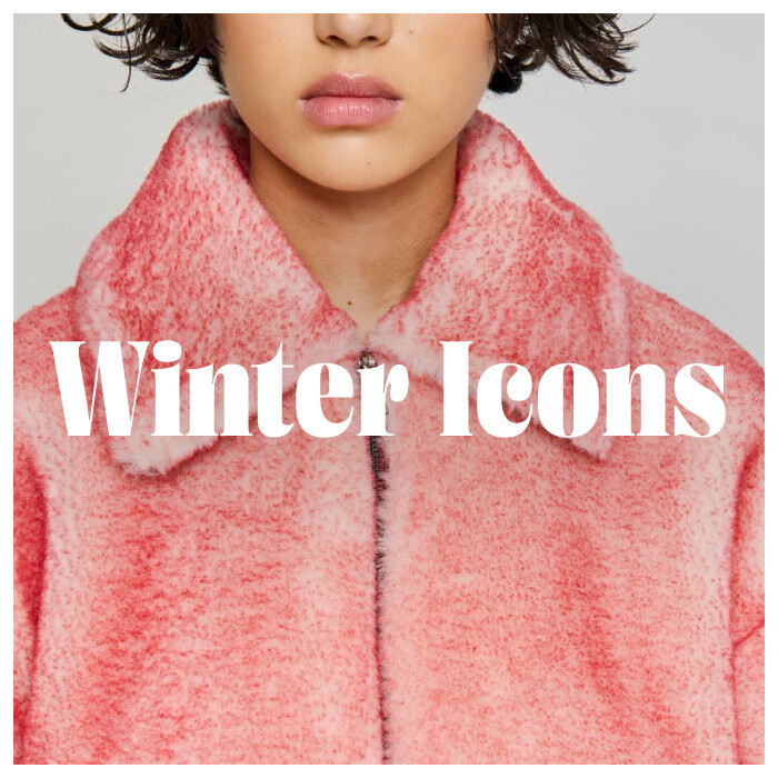 Winter Icons