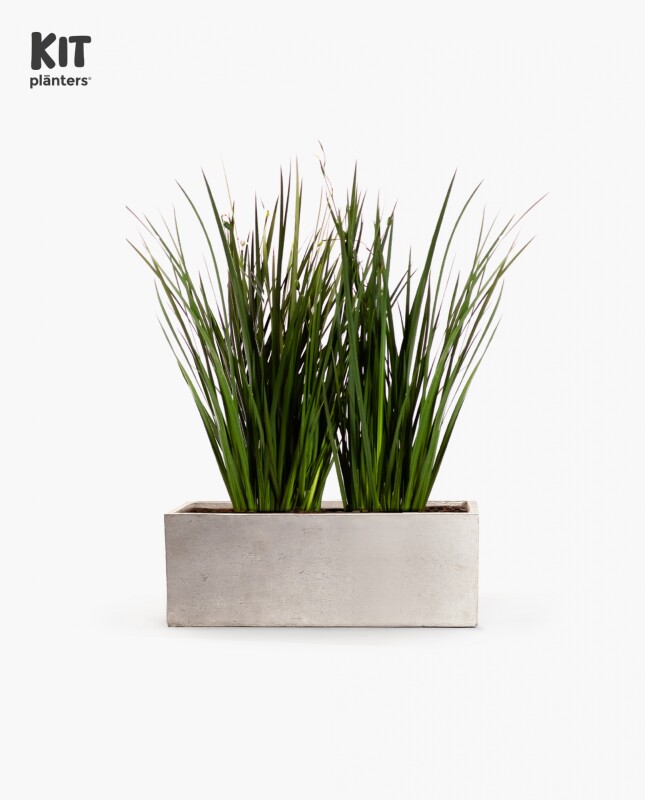 KIT Jardinera "Gris laca" 80cm* 30cm* 30cm* C/ Dietes y Sustratos
