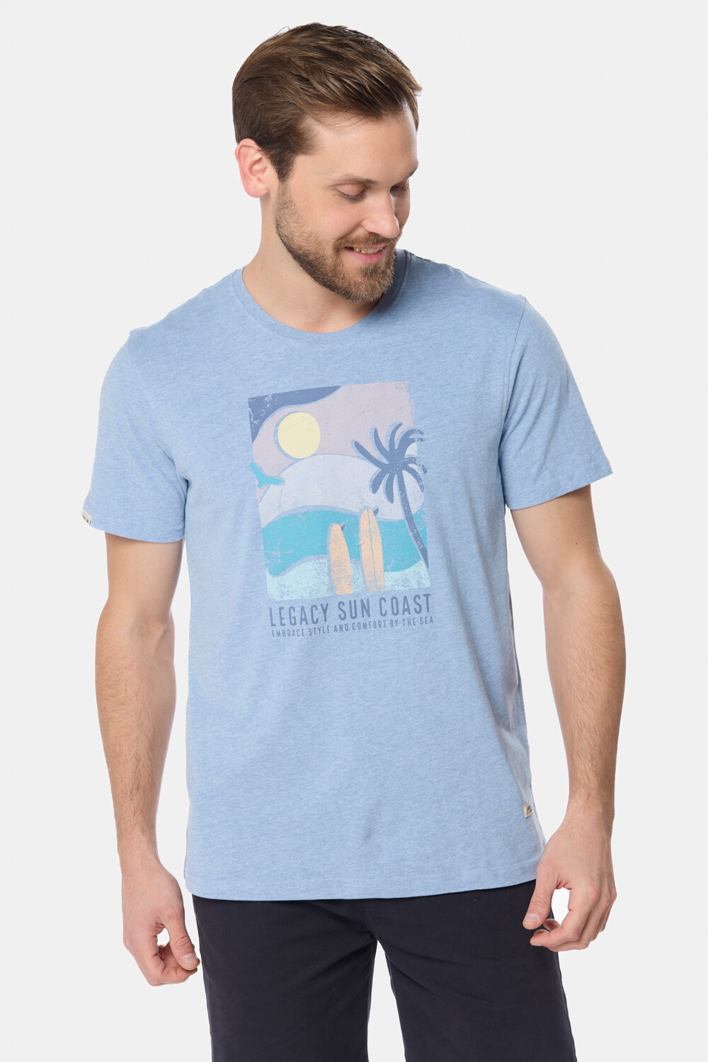 REMERA ESTAMPADA Azul