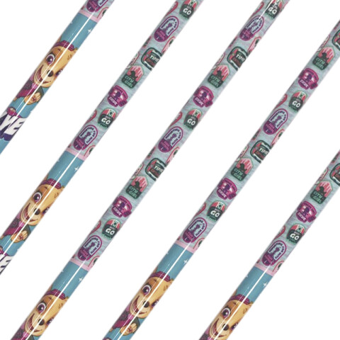 Pack x 12 Lapices Colores Paw Patrol FUCSIA