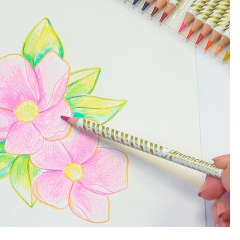 Lápices Acuarelables Mooving 12 Colores Lápices Acuarelables Mooving 12 Colores