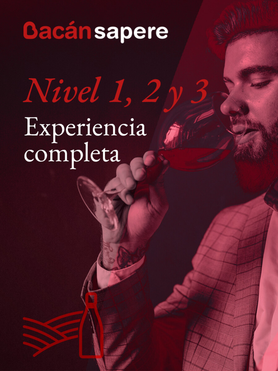 Experiencia Completa Bacán Sapere – Niveles 1, 2 y 3 