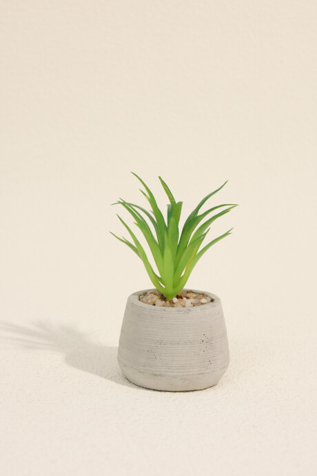 Planta Suculenta 694 Mini, Mix Color Unico
