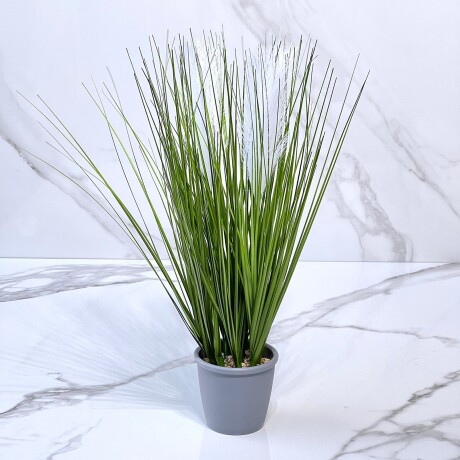 Planta Cieza Artificial Maceta Cerámica Alto 50cm Planta Cieza Artificial Maceta Cerámica Alto 50cm