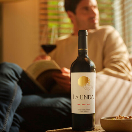 Vino Tinto Finca la Linda Cabernet Sauvignon 2022 750 Ml 001