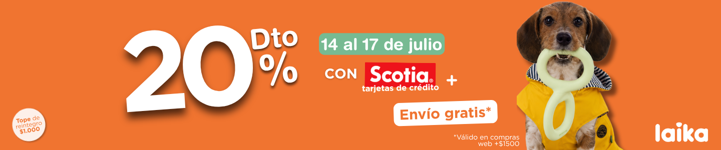 Scotia Julio