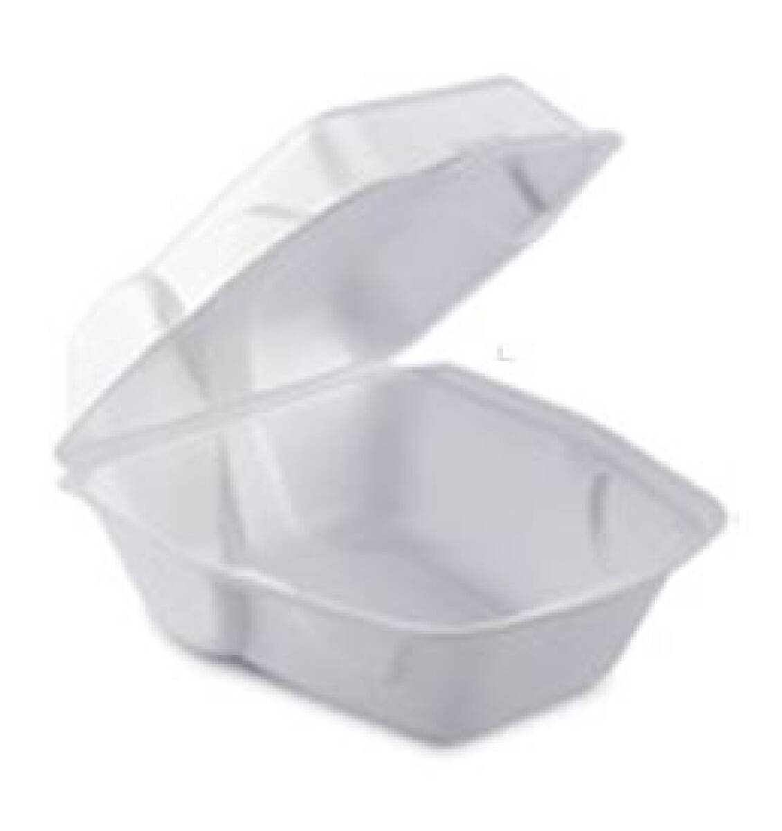 MARMITA CON BISAGRA PARA POLLO SPIEDO 22,5 X 20,5 X 11,5 CM 