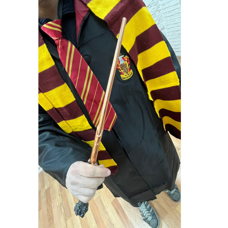 Difraz de Mago Harry Adulto Difraz de Mago Harry Adulto