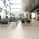 Porcelanato Blanco Mate Rectificado 60x60 Cm Piso Pared GAMAS DE BLANCO