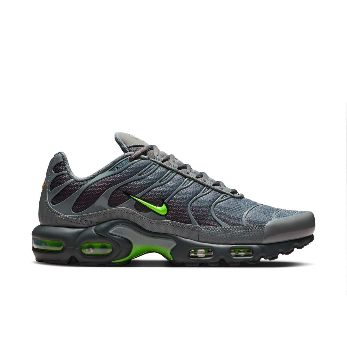 Championes Nike Air Max Plus de Hombre - Gris 