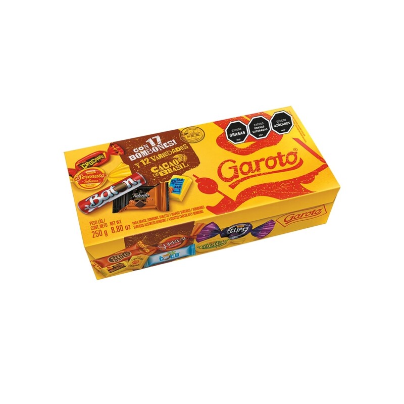 BOMBON GAROTO SURTIDO 250 Bombon Garoto Surtido 250