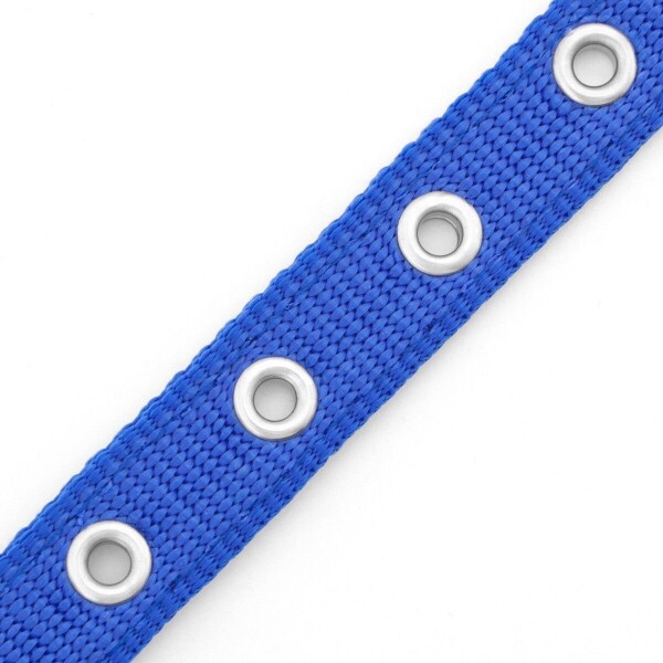 Collar Ajustable Reforzado Hebilla Nylon Perro Gato Mediano Variante Color Azul