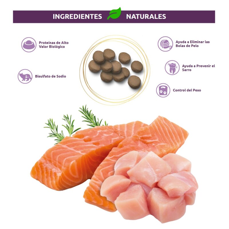 FROST GATOS ADULTOS Y/O CASTRADOS 7.5 + 1 KG GRATIS + PATE + PLATO DE REGALO