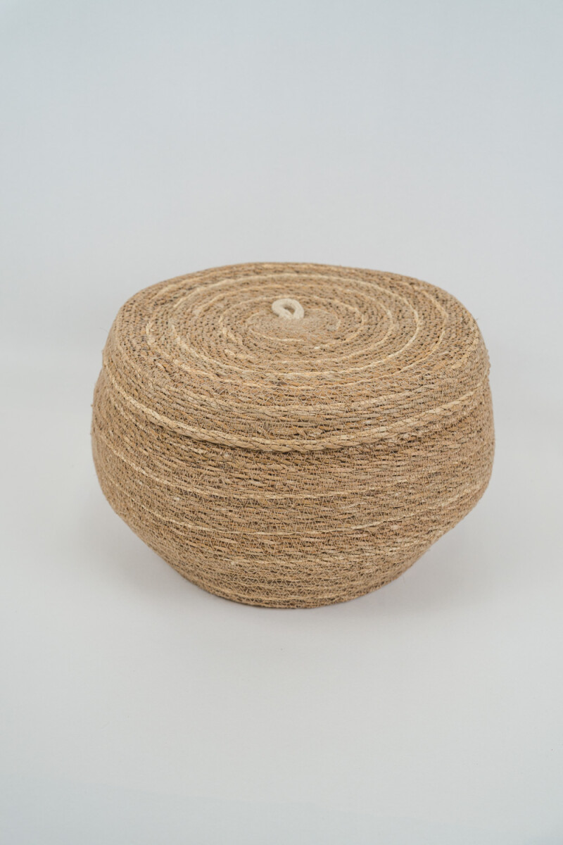 Caja Aranda - Color Unico 