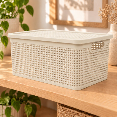Caja simil ratán 25 lts BEIGE