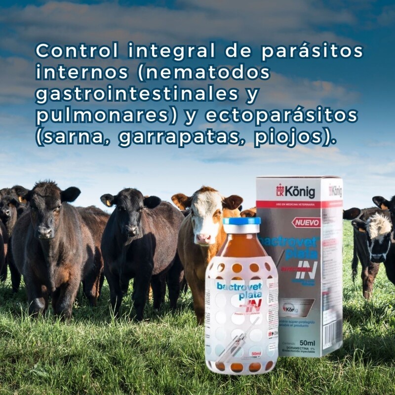 ANTIPARASITARIO INYECTABLE PARA PORCINOS Y BOVINOS – BACTROVET 50 ML ANTIPARASITARIO INYECTABLE PARA PORCINOS Y BOVINOS – BACTROVET 50 ML