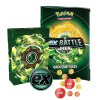 Cartas Pokémon Baraja Combate ex Ferroverdor Ex
