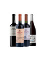 Pack Bacán Selección Tannat Esencial x4 vinos Tannat Pack Bacán Selección Tannat Esencial x4 vinos Tannat