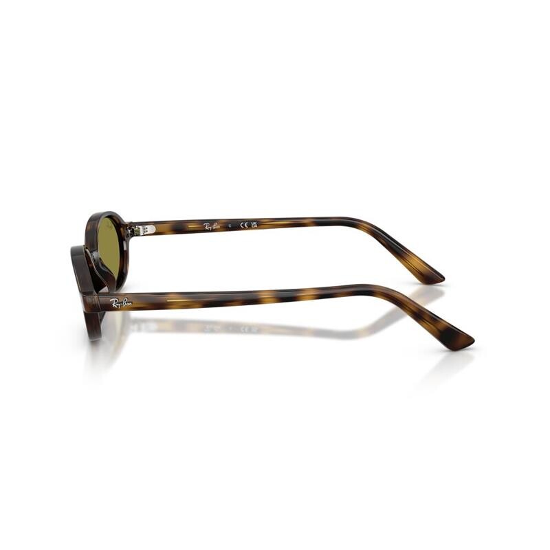 Ray Ban Rb4472 1359/2