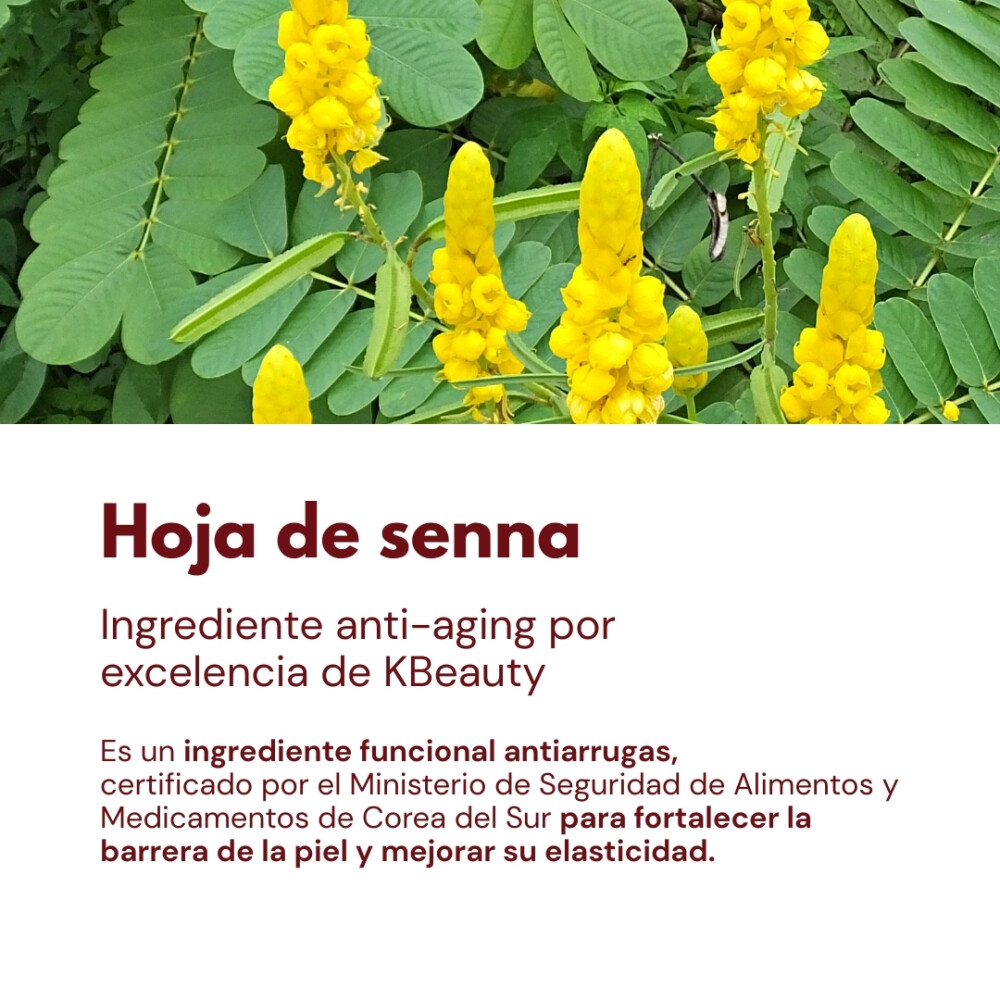 Crema colágeno ORJENA POWER COLLAGEN CREAM Crema colágeno ORJENA POWER COLLAGEN CREAM