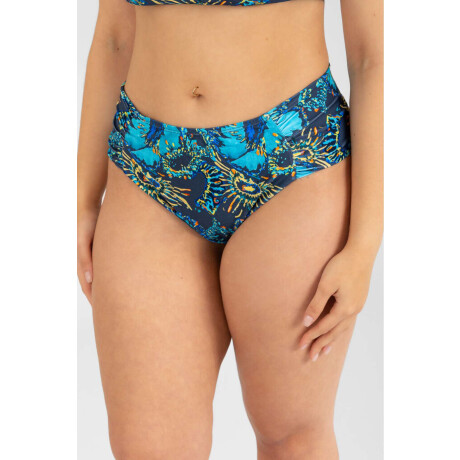 Bilbao curvy control est. Medusa