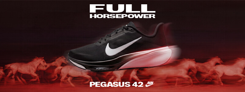 Nike Pegasus 41