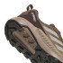 Championes de Hombre Adidas Terrex Anylander Marrón