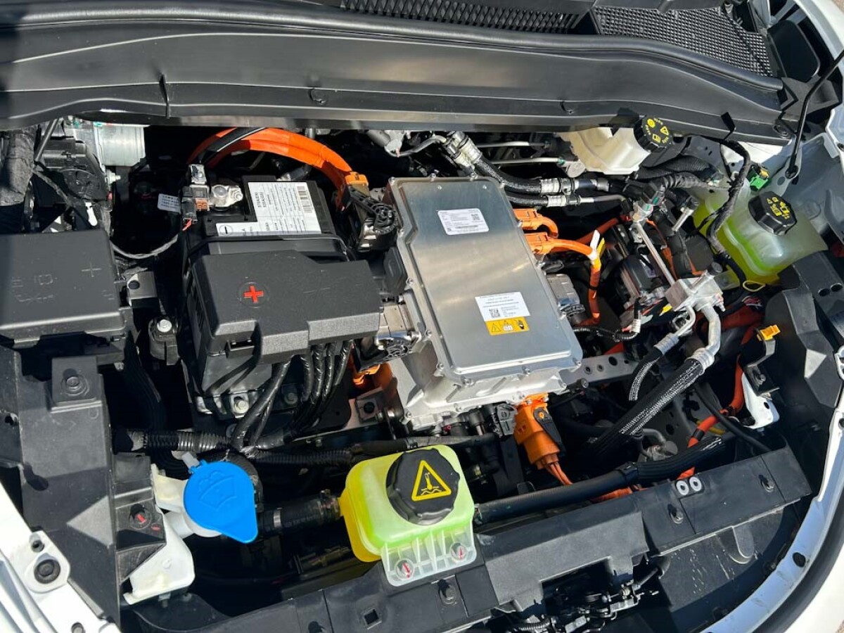 GWM ORA 03 Skin 2026 0KM | Permuta / Financia GWM ORA 03 Skin 2026 0KM | Permuta / Financia