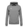 BUZO AUTHENTIC PL HOODIE UNISEX GRIS
